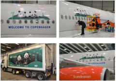 北欧航空保驾护航，助力大熊猫抵达丹麦新家