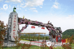 避暑游丨错过了4月的百里杜鹃，一定别再错过7月的彝山花谷