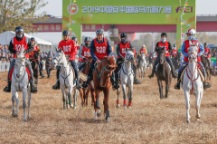 2019中国安平国际马术耐力赛举行促文体旅游业健康发展